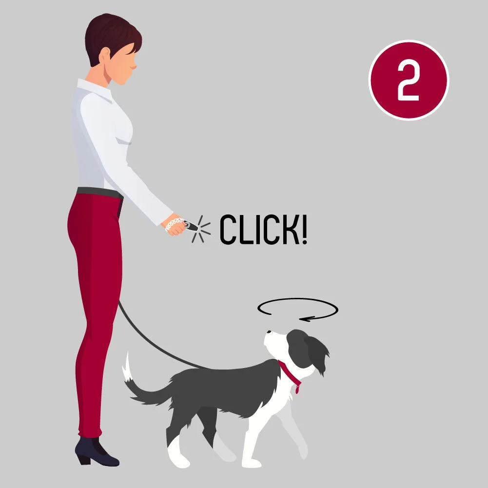 A woman in a white blouse and red pants holding a dog leash with a Border Collie walking beside her. Text says 'CLICK!' and there is a red circle with the number 2.