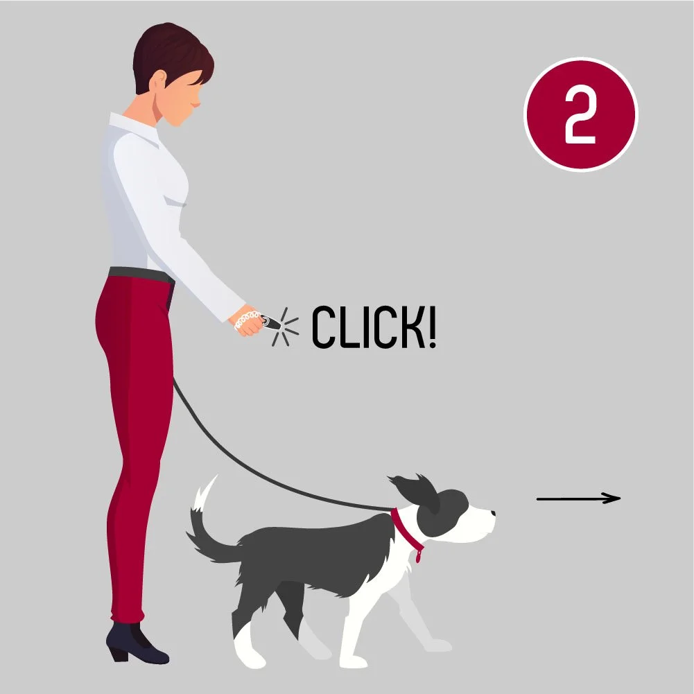 Illustration of a woman in red pants and a white shirt walking a black and white dog on a leash, with a sign saying 'CLICK!' and a number 2 in a circle in the top right corner.