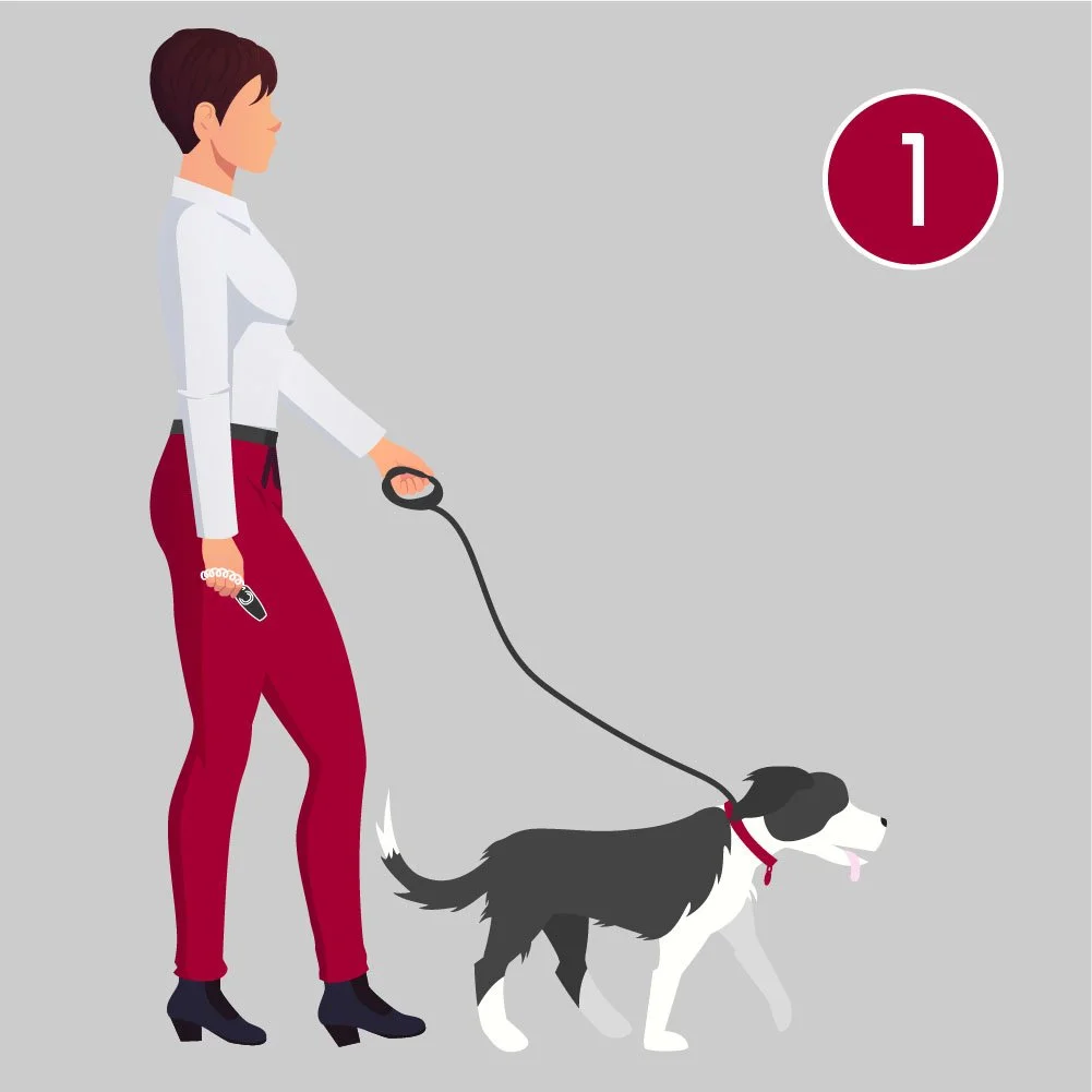 A woman walking a black and white dog on a leash, with a numbered instruction '1' in a circle at the top right corner.