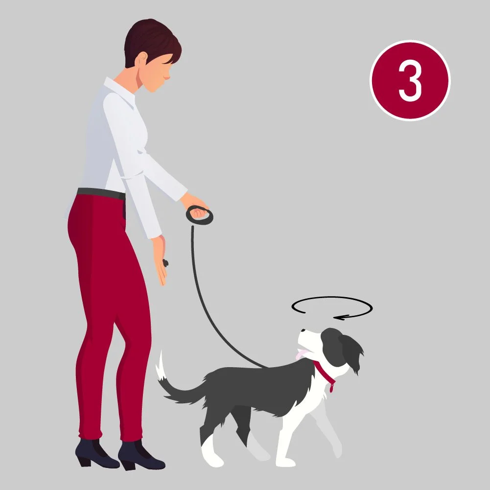 A woman in red pants and a white shirt standing with a black and white dog on a leash, looking down at the dog, with a red circle containing the number 3 in the top right corner.