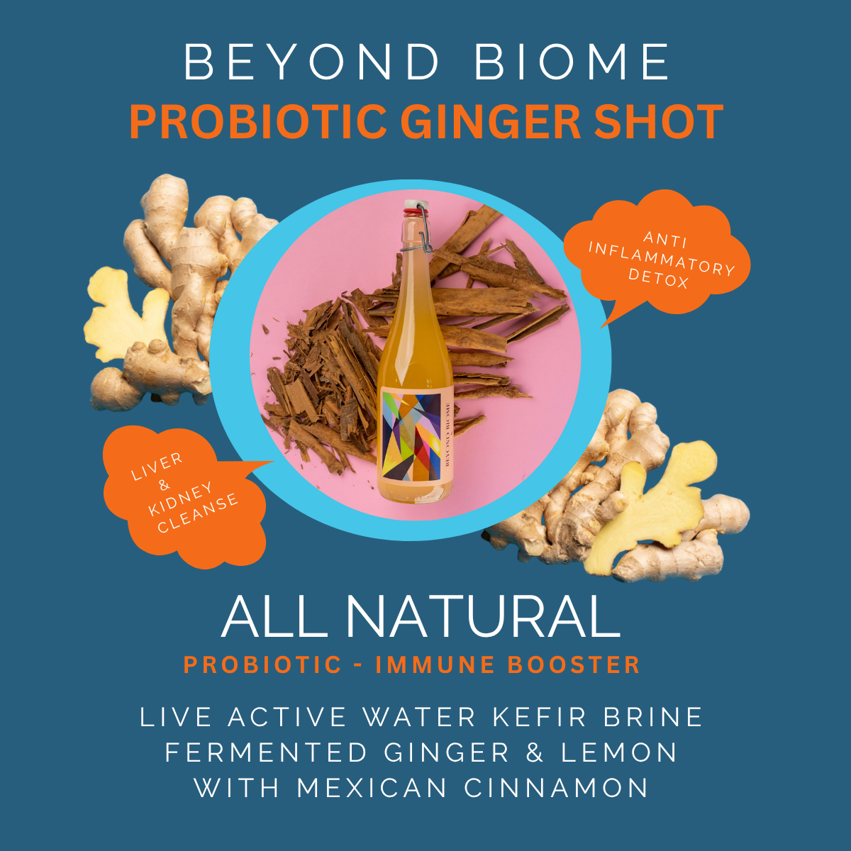 Probiotic Ginger Shot 750ml