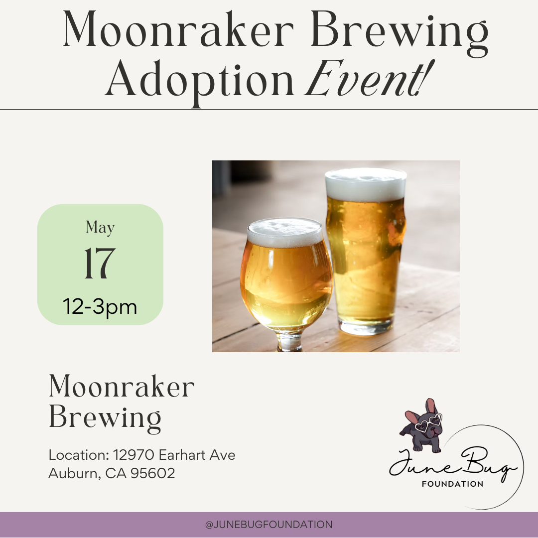 Moonraker Adoption Event