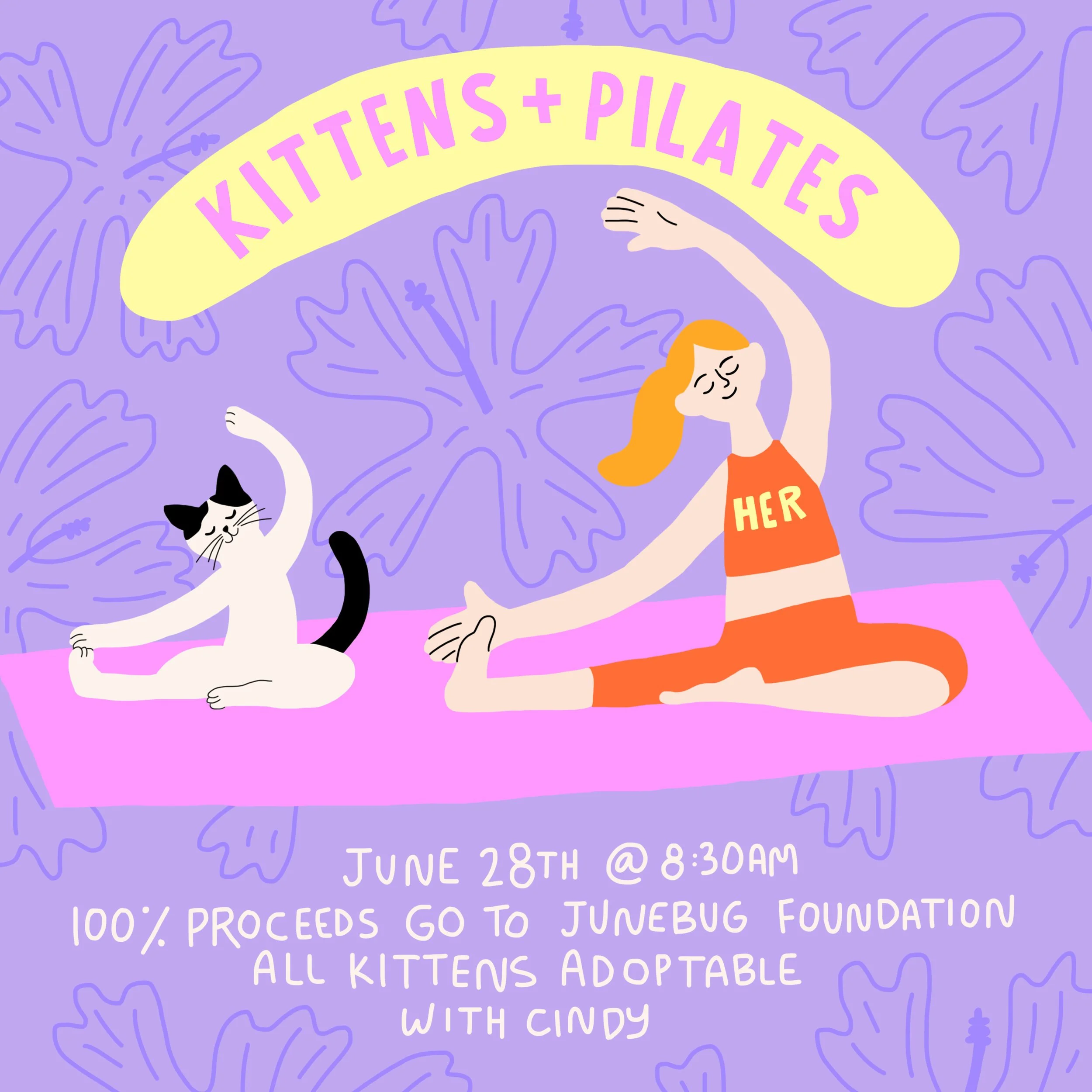 Kittens and Pilates