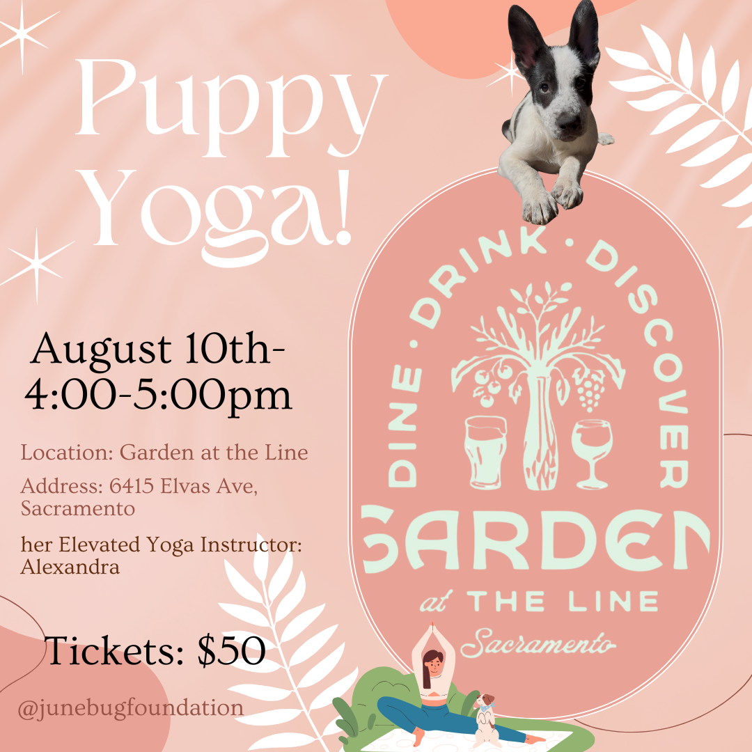 Puppy Yoga