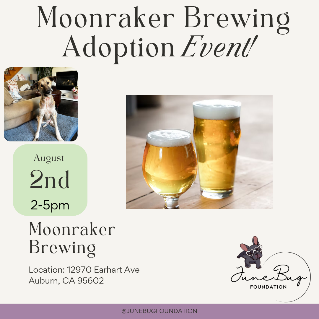 Adoption Event