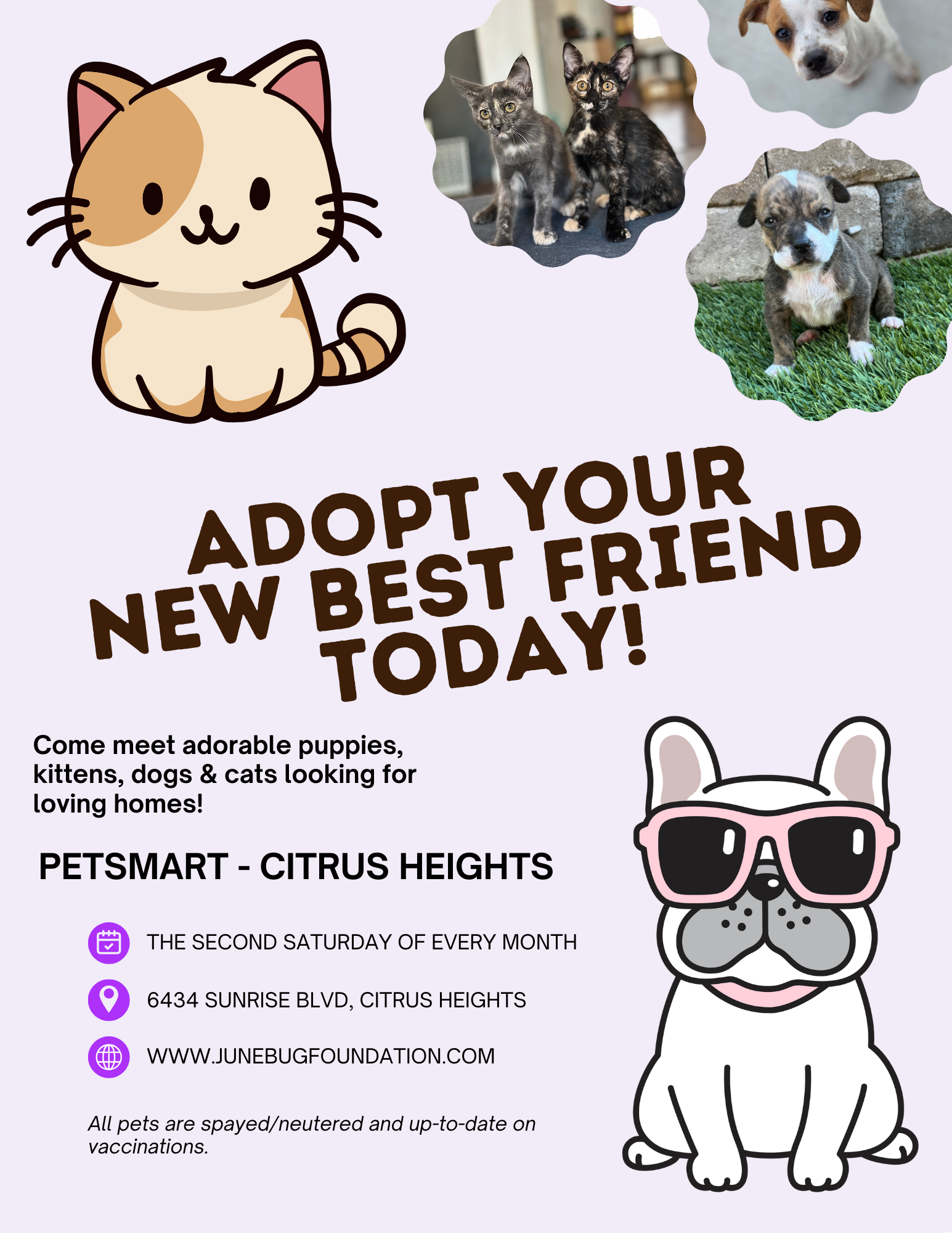 Adoption Event