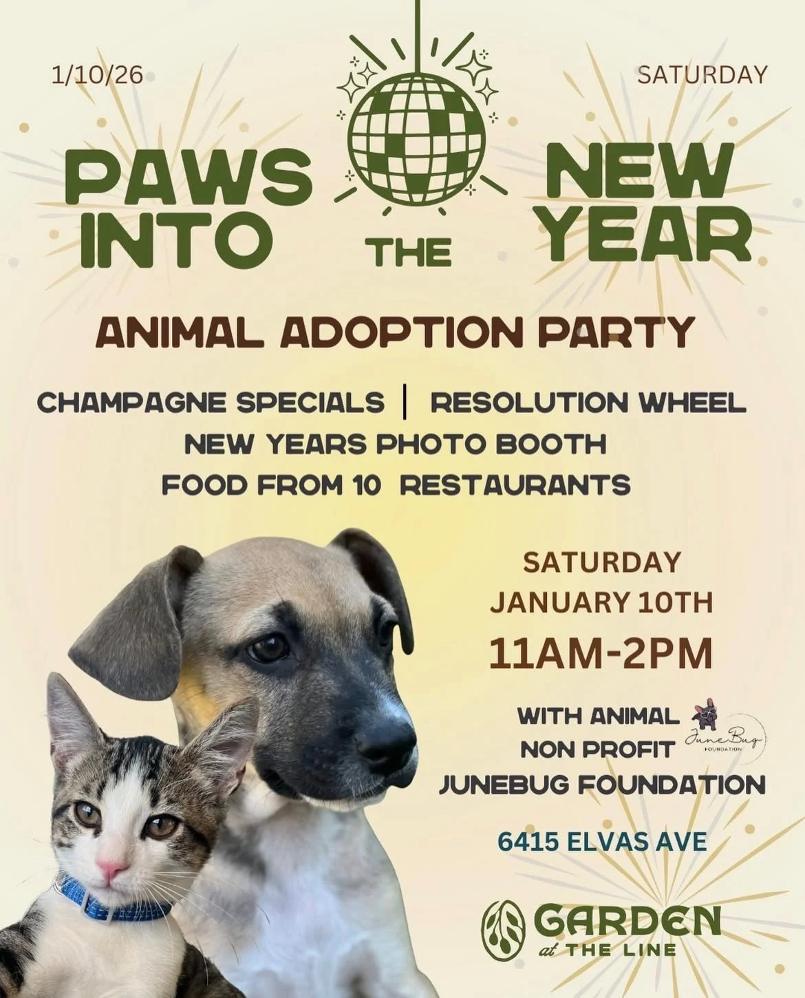 Paws into the New Year