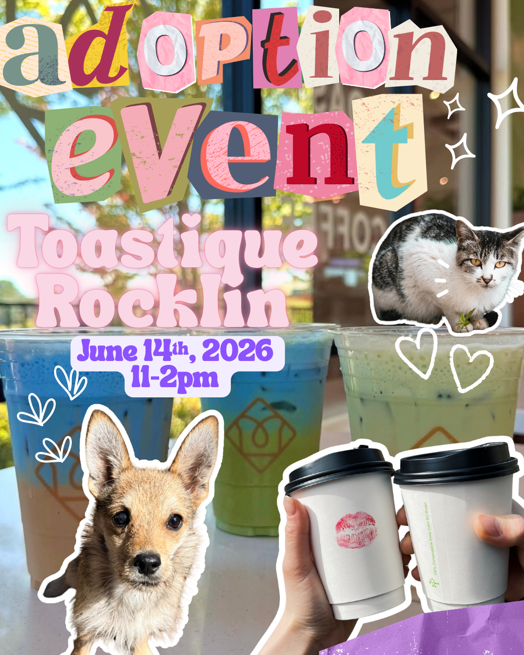 Toastique Adoption Event