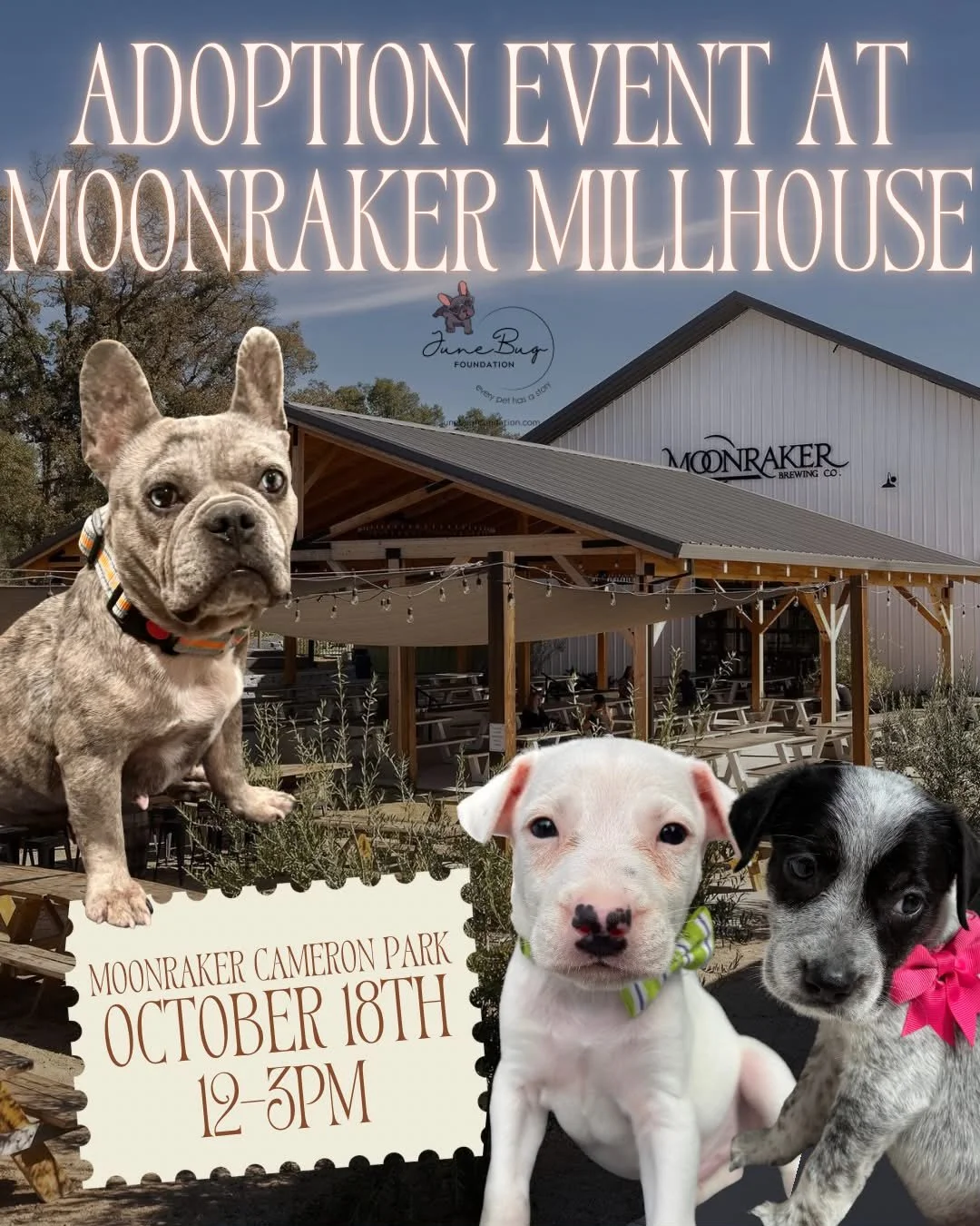 Adoption Event at Cameron Park Moonraker