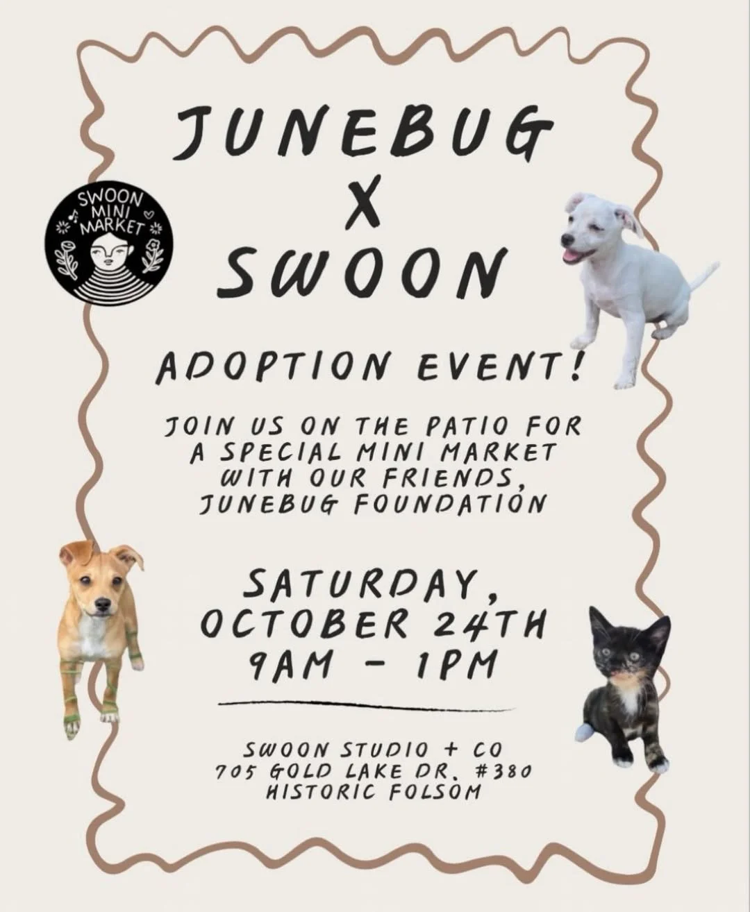 Adoption Event Swoon Studio Folsom