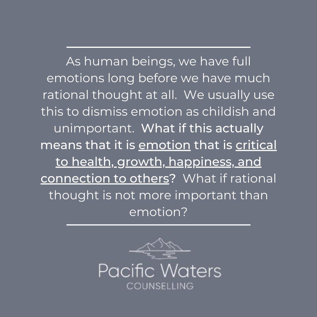 It's time to switch things around. It's time to start valuing emotions and stop elevating rational thought onto such a pedestal. Yes, logic and rationality are important, but they are not MORE important than our emotions.