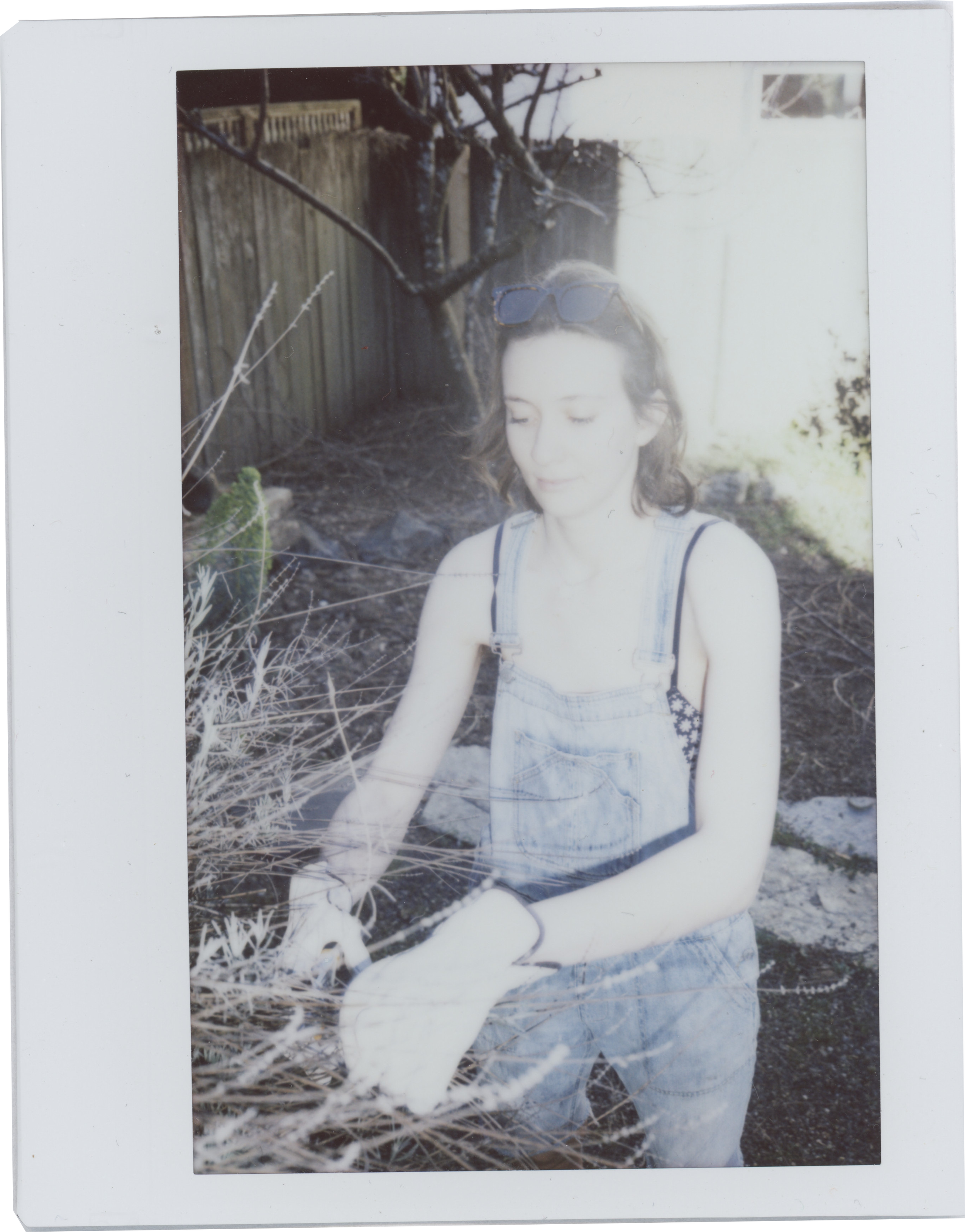 Z gardening 2.png