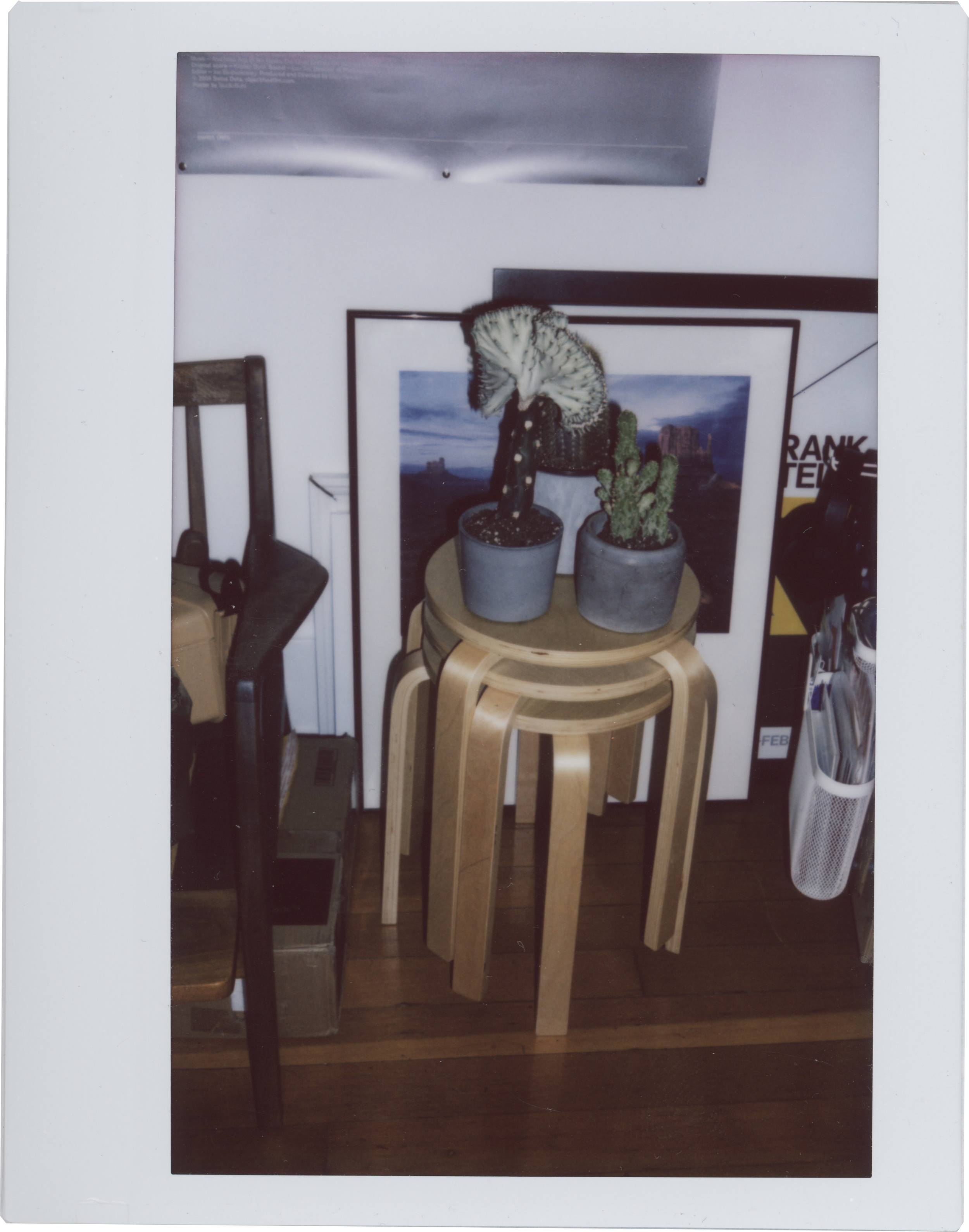 succulents on stool.png