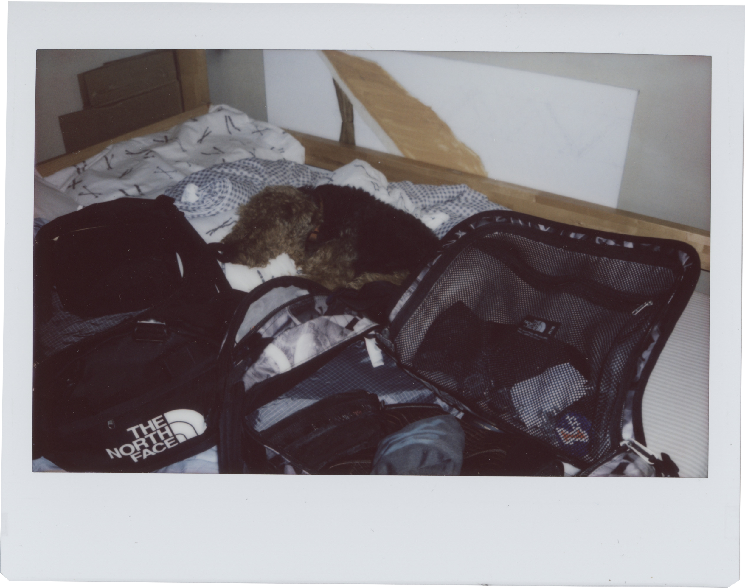 glorpy TNF duffels.png