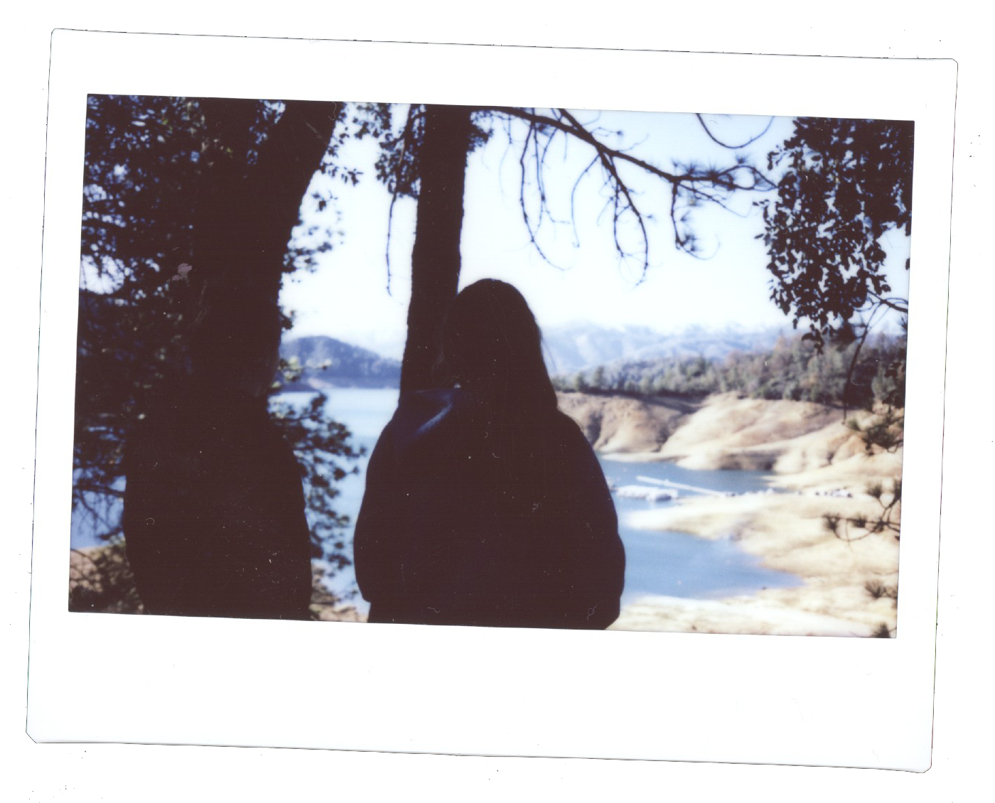 fall and shasta copy.png