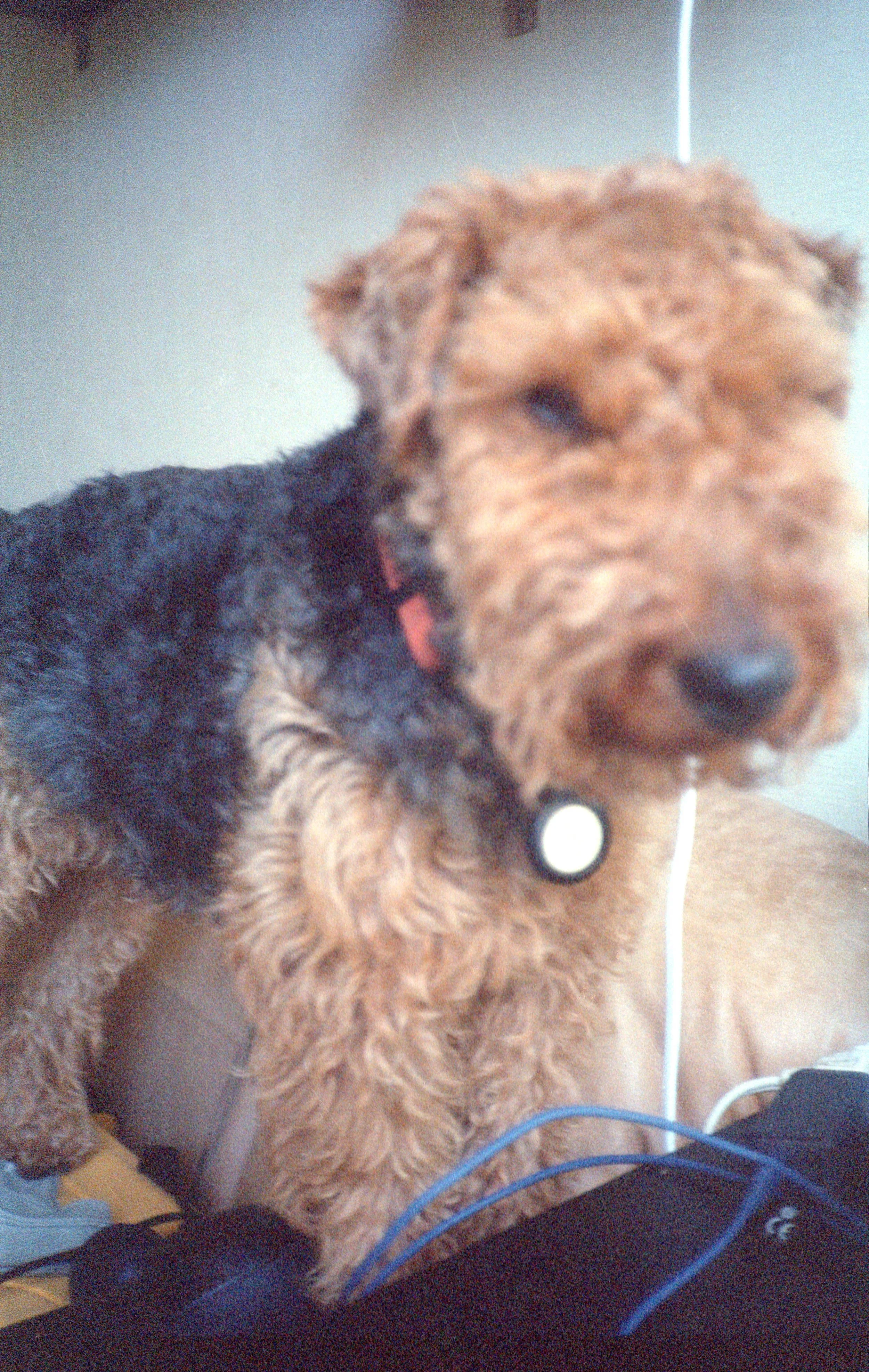2023-06-08-0027.jpg