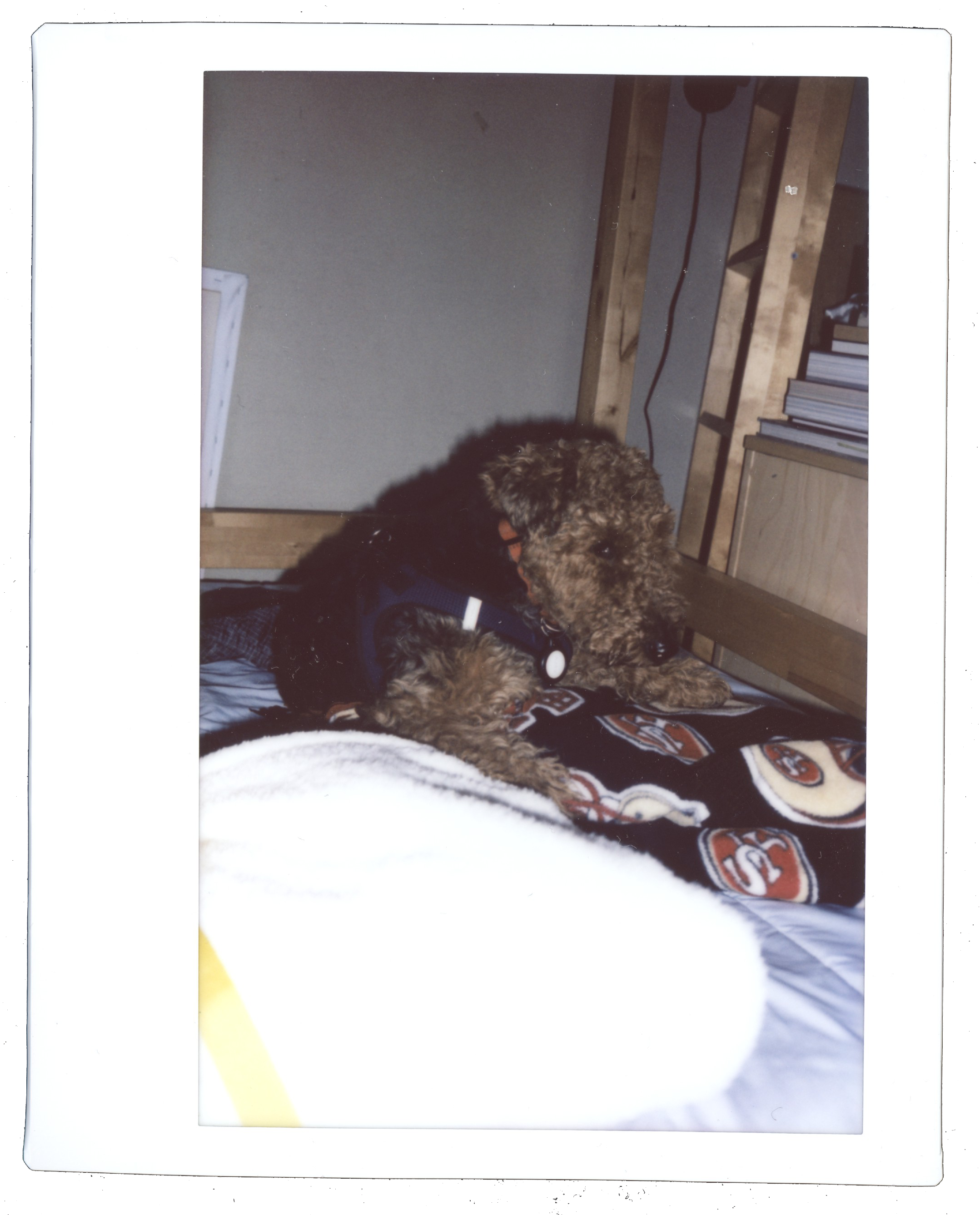 glorpy x3s copy 2.png