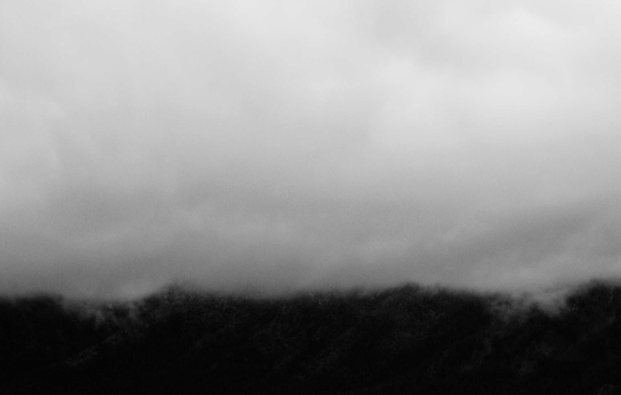 DSC_0031.jpg