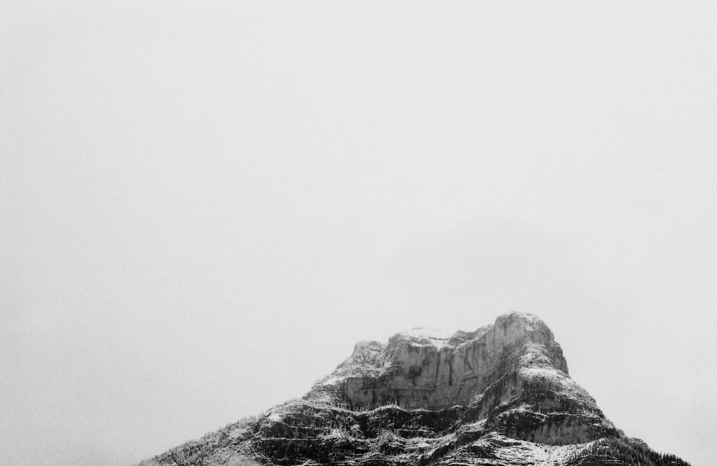 DSC_0033.jpg