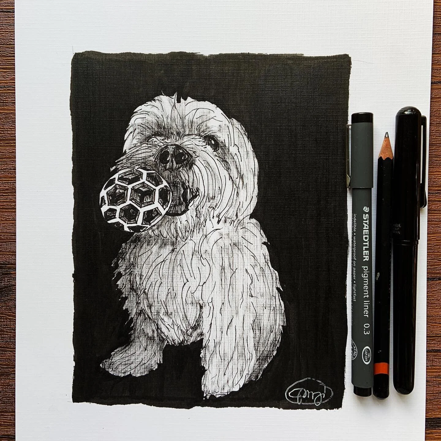 Inktober prompt 9: &ldquo;Throw&rdquo; 
.
.
.

#inktober #dog  #draw #maltese #paint #painting #instaart #filipinoartist #illustration #head #art #artist #arte #artoftheday #artwork  #sketch #sketchbook #contemporaryart  #drawing #fineart #inspiratio