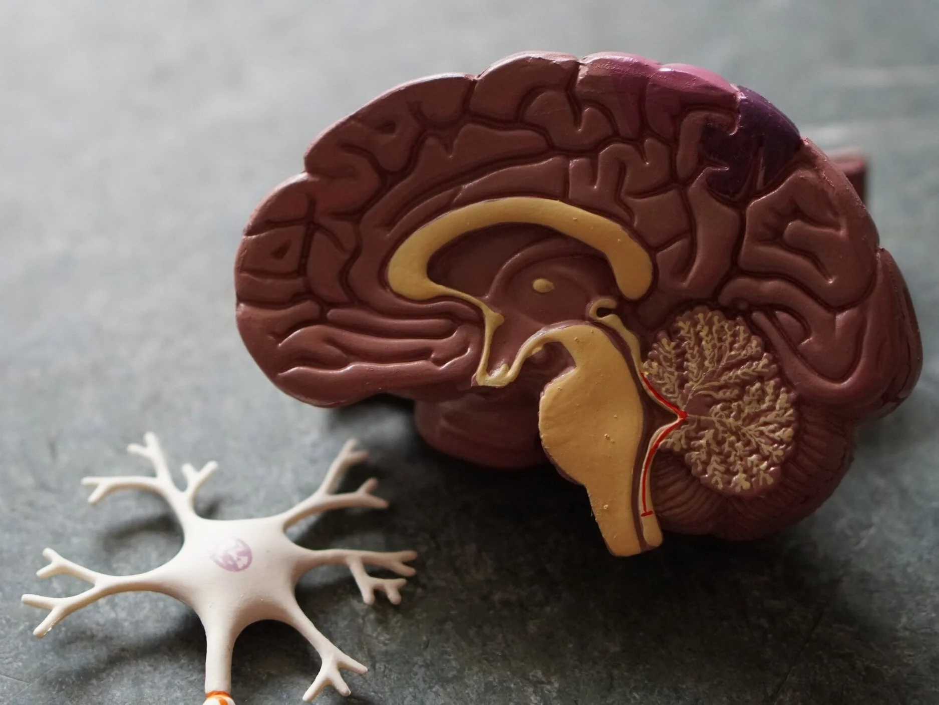 Dementia Care: Life After Diagnosis