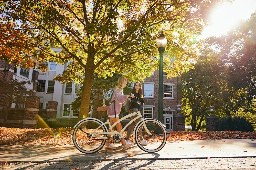 Ryan Smith — All Opal