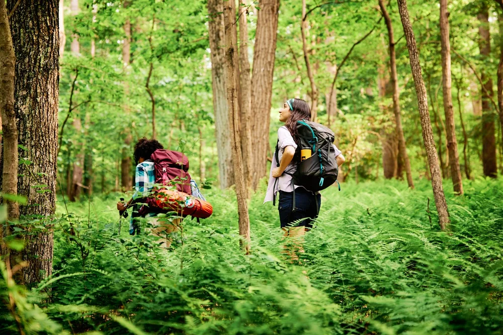 Ryan Smith — All Opal