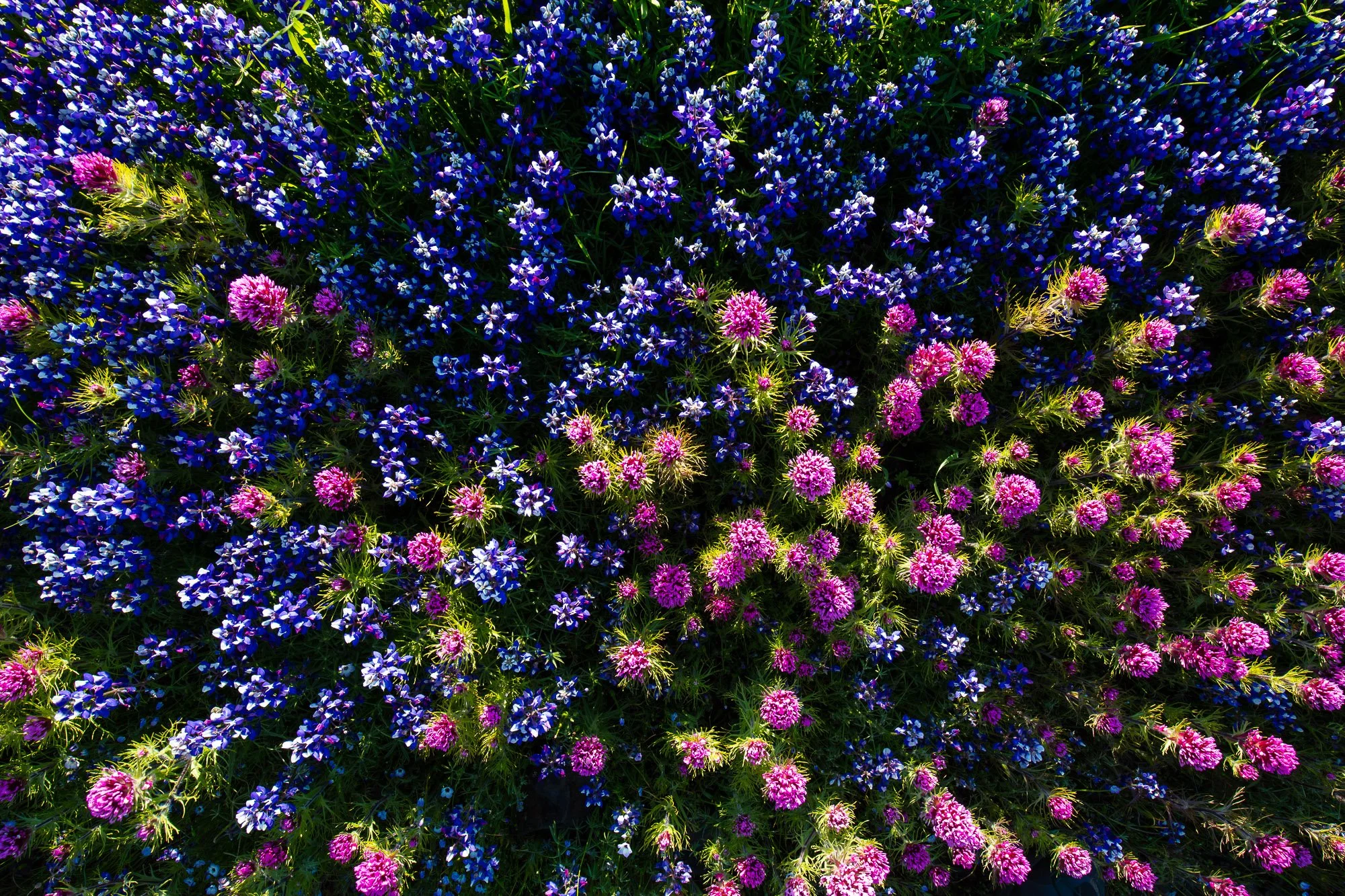 LeFevre Landscape Port-5233.jpg