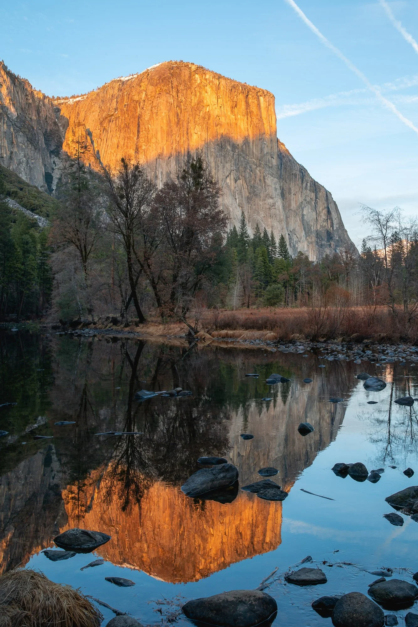 LeFevre Landscape Port-9293.jpg