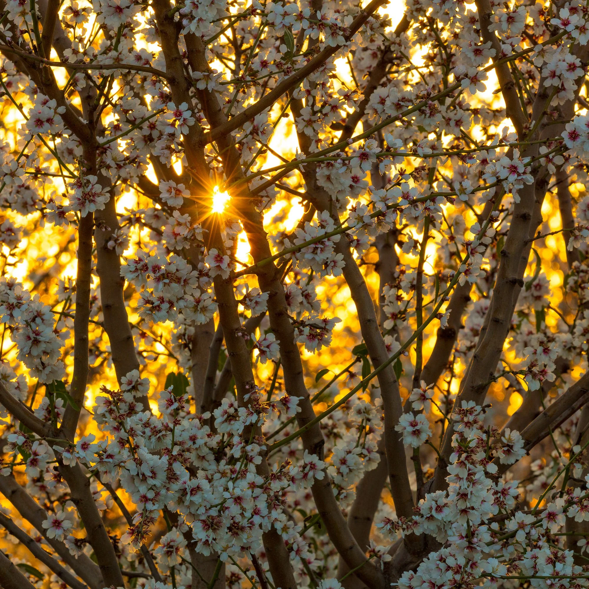LeFevre Landscape Port-4397.jpg