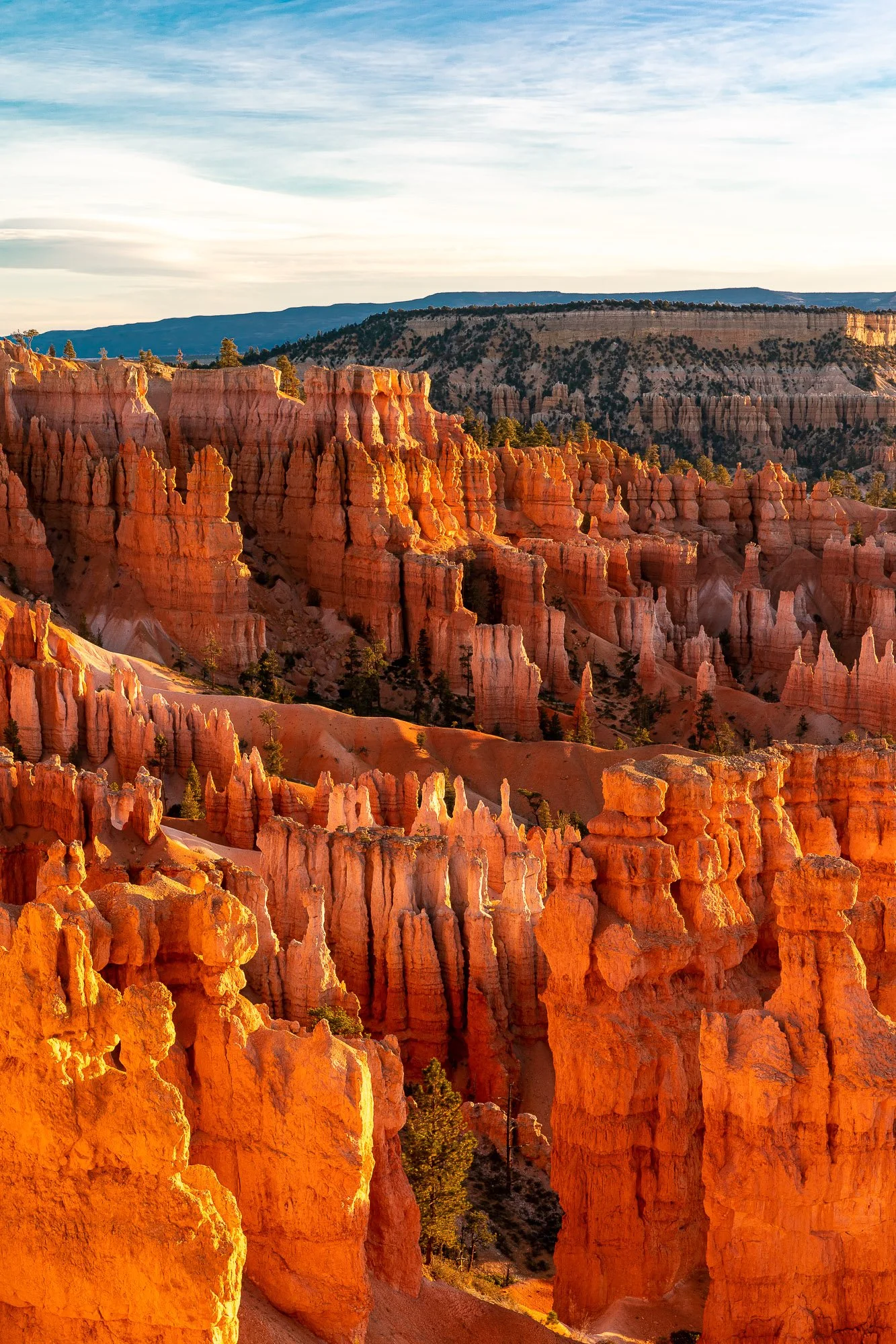 LeFevre Landscape Port-8156.jpg