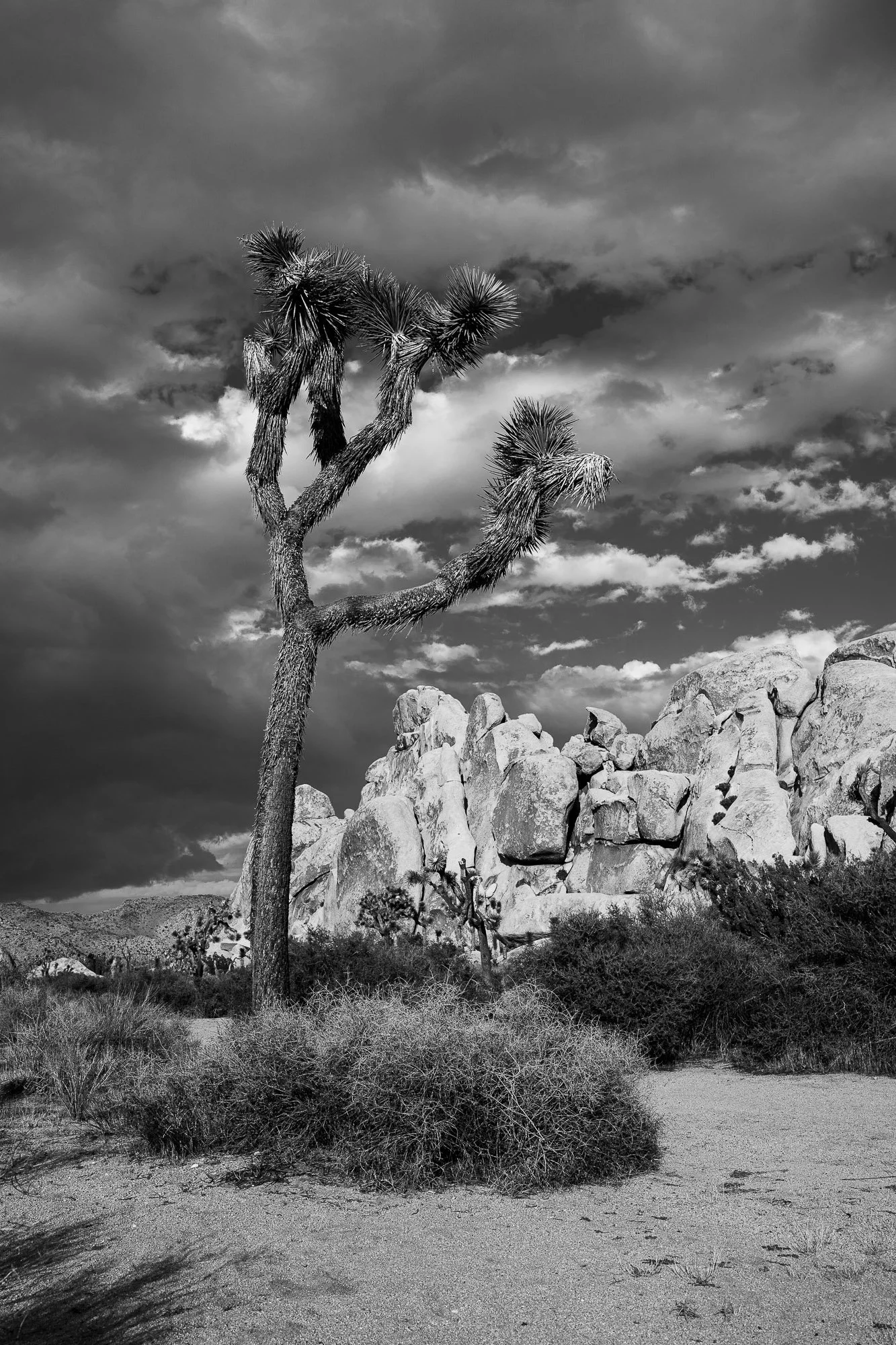 LeFevre Landscape Port-1420.jpg