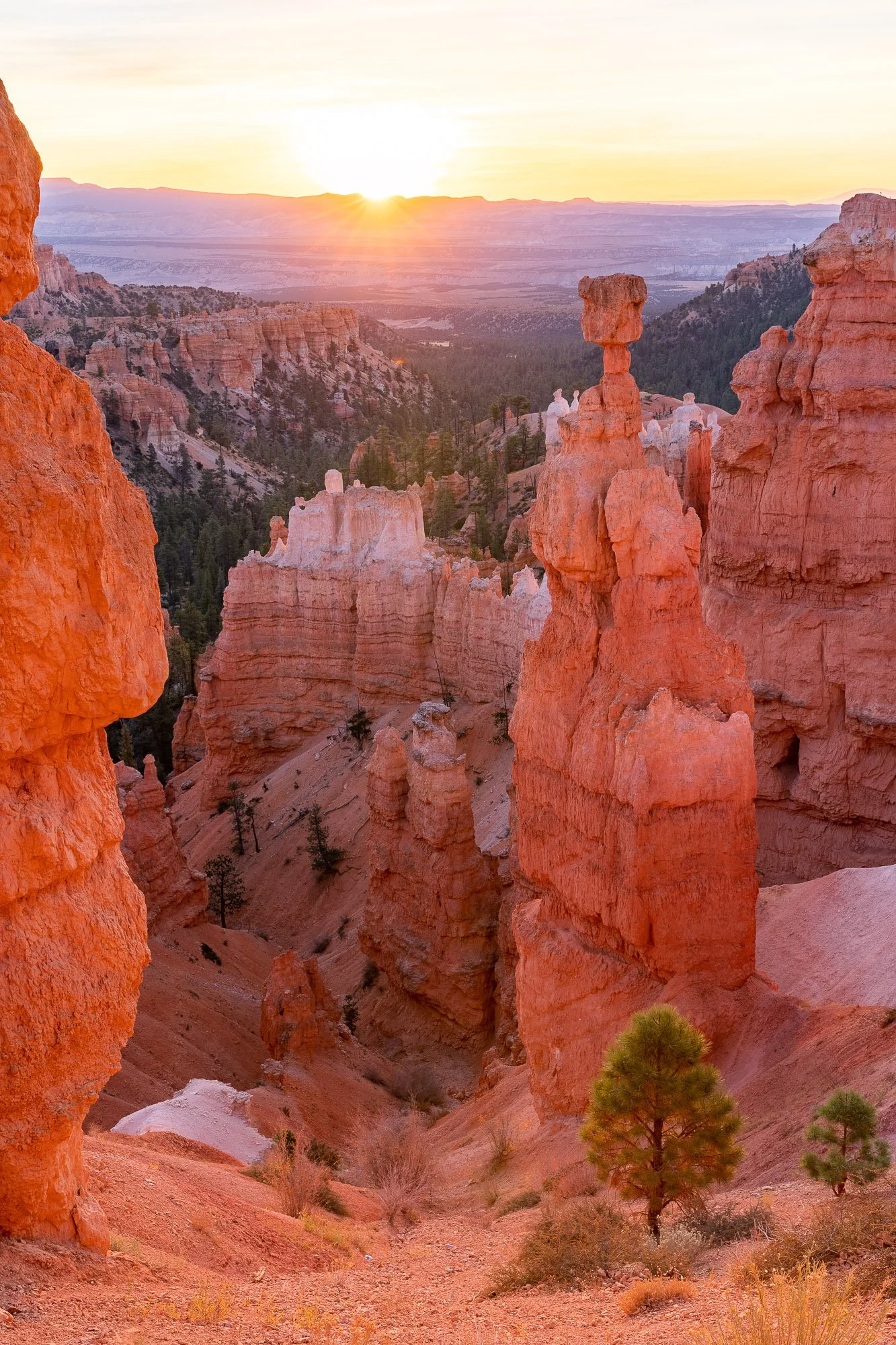 LeFevre Landscape Port--13.jpg