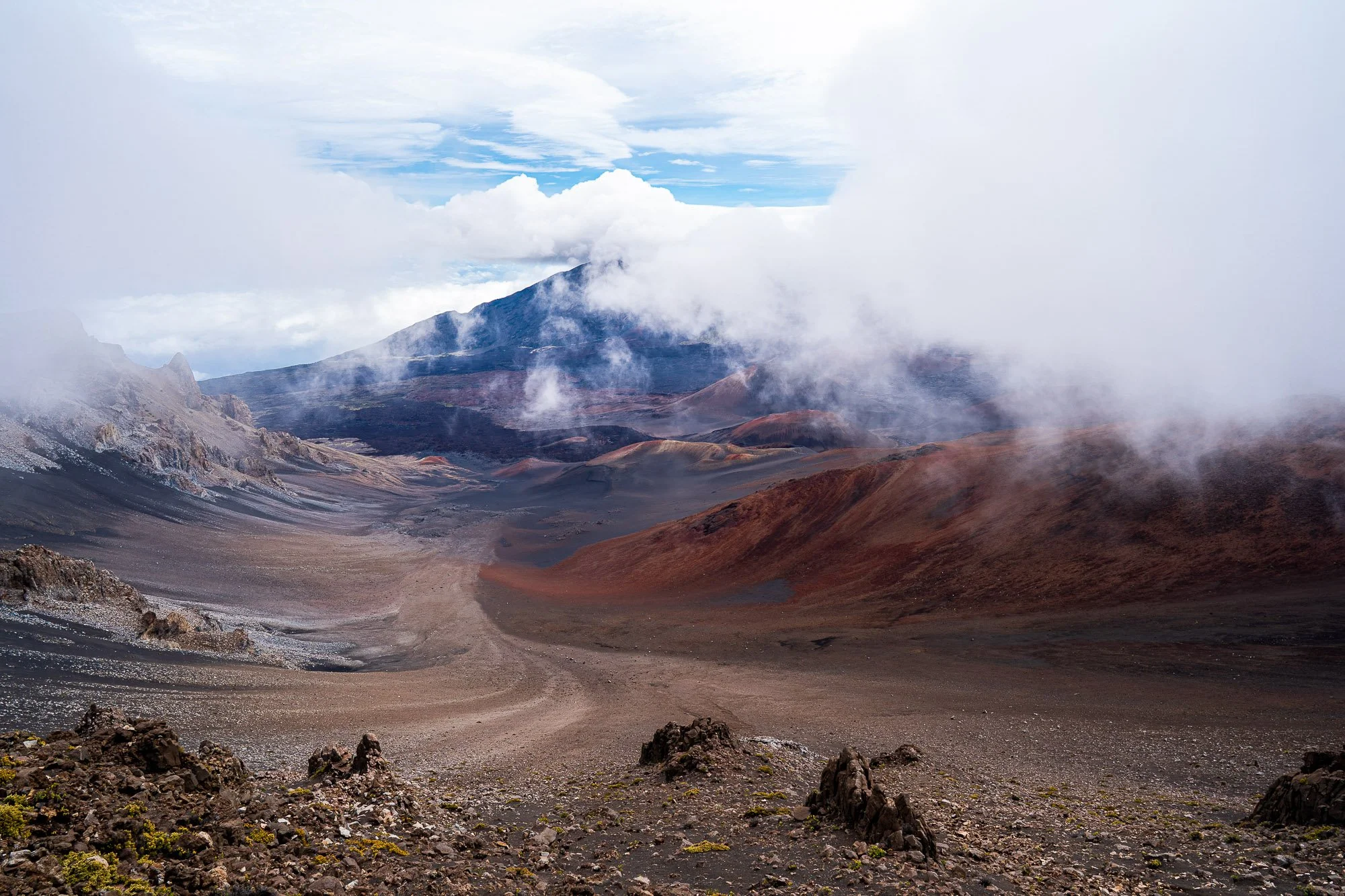 LeFevre Landscape Port-9280.jpg