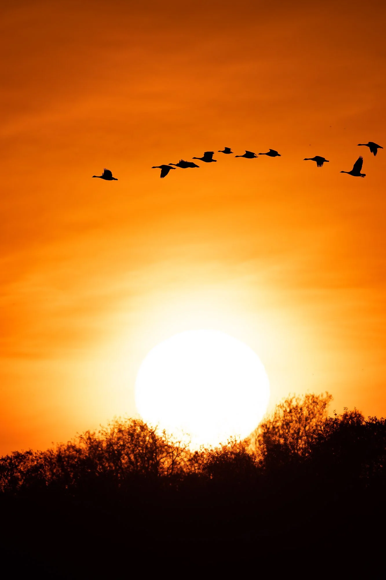 LeFevre Landscape Port-6761.jpg