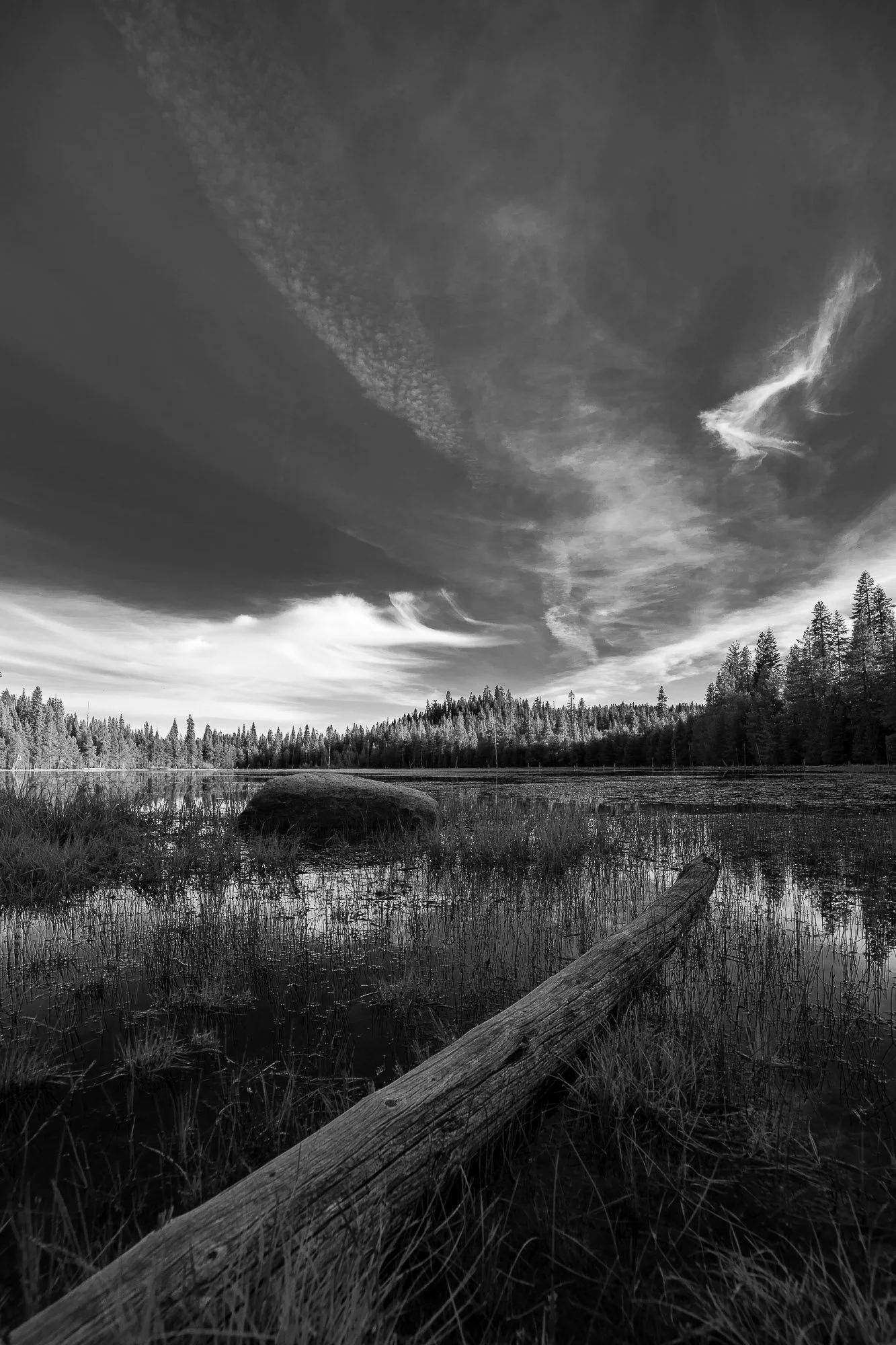 LeFevre Landscape Port-4799.jpg