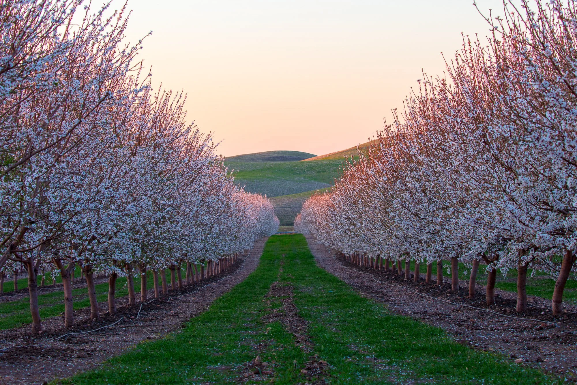 LeFevre Landscape Port-4363.jpg