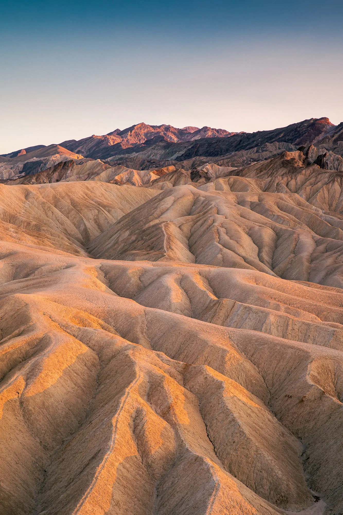 LeFevre Landscape Port-7429.jpg