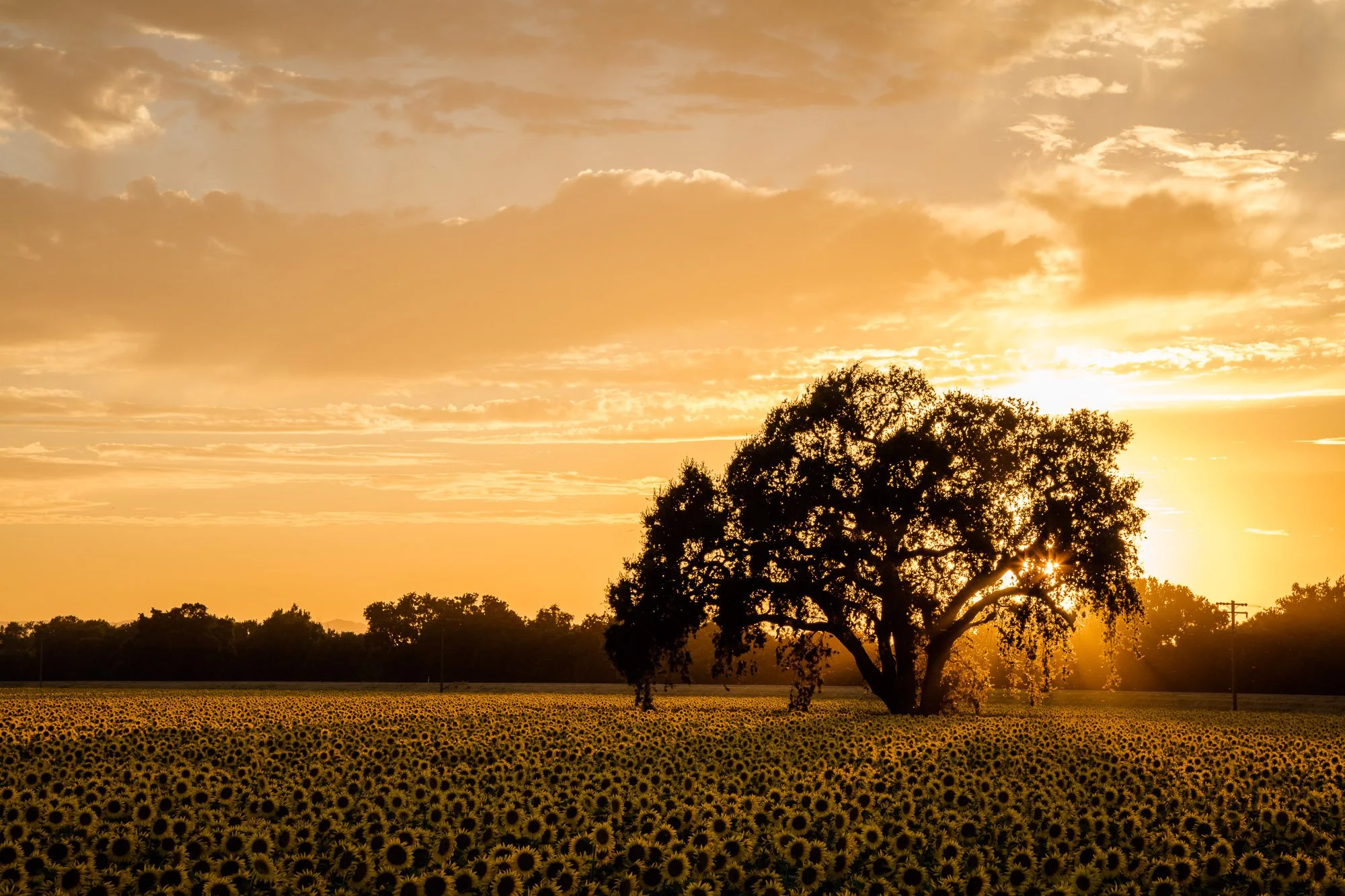 LeFevre Landscape Port-9129.jpg
