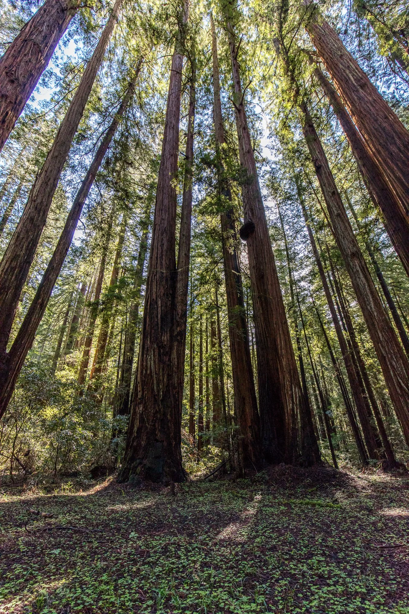 LeFevre Landscape Port-4906.jpg