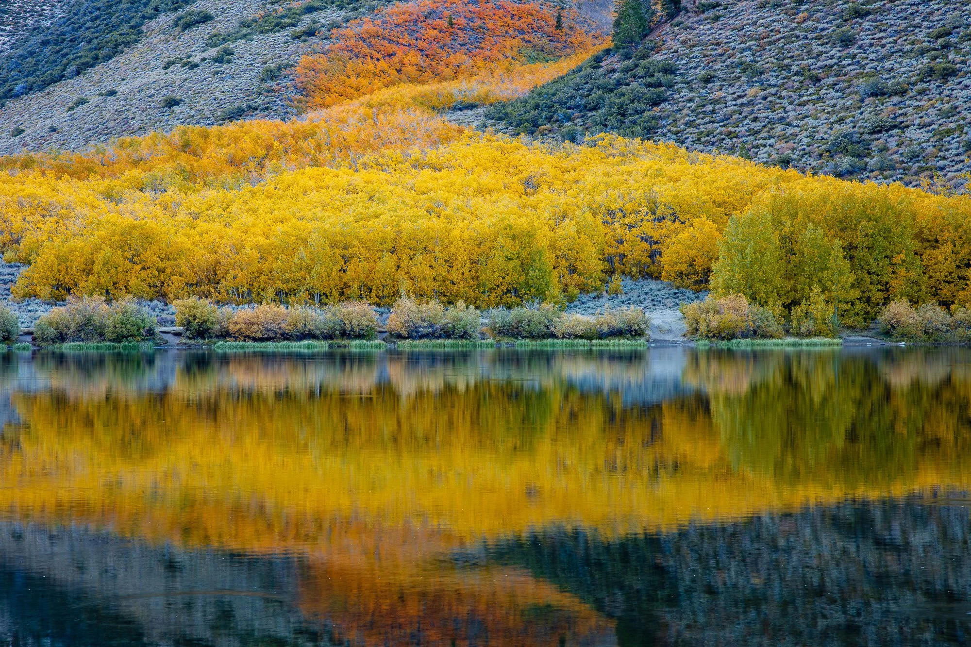 LeFevre Landscape Port-3281.jpg