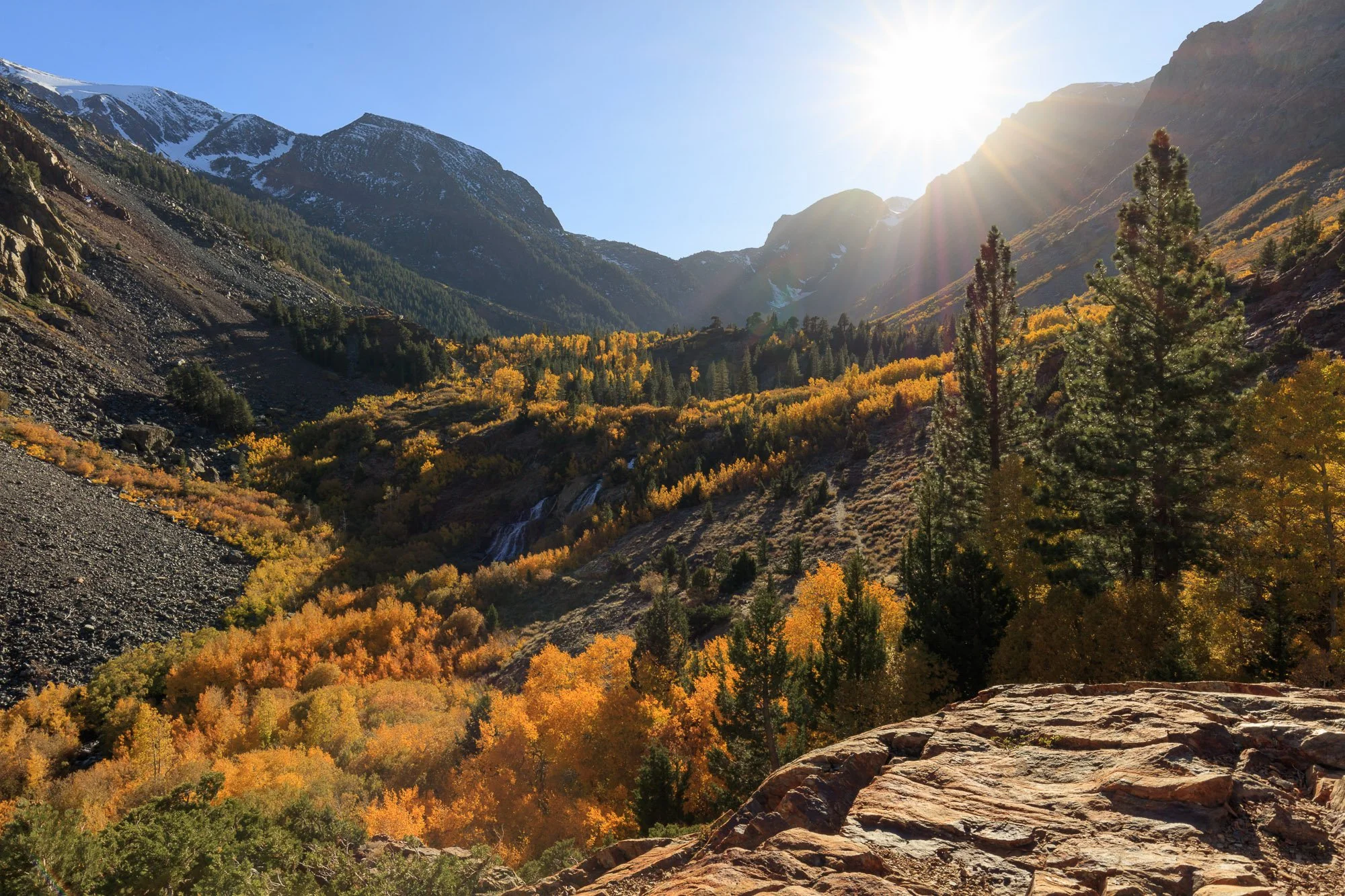 LeFevre Landscape Port-8275.jpg