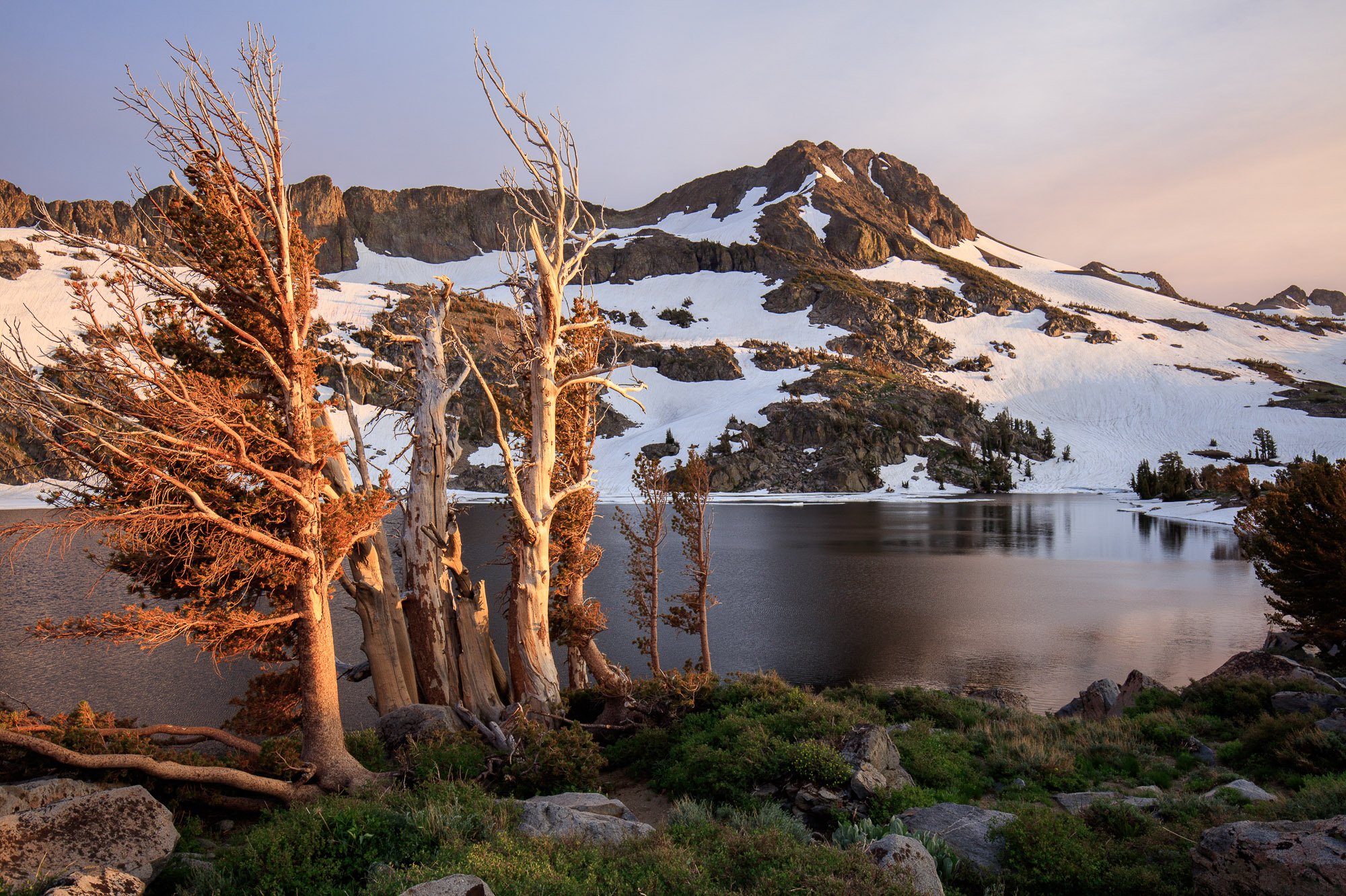 LeFevre Landscape Port-0237.jpg