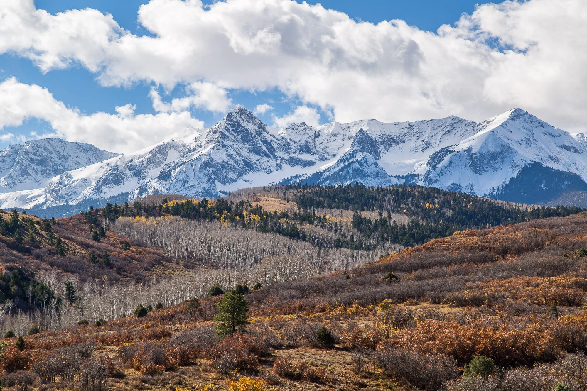 LeFevre Landscape Port-.jpg