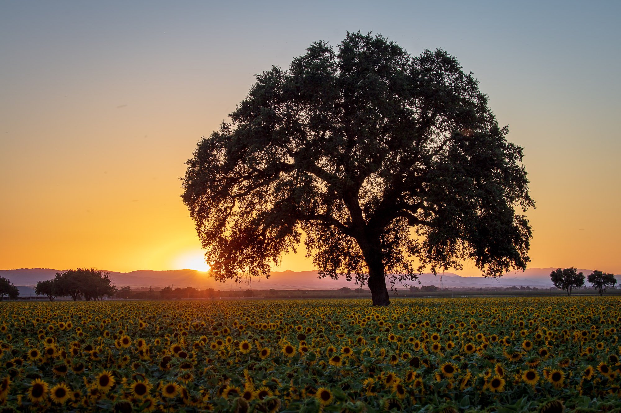 LeFevre Landscape Port-4272.jpg