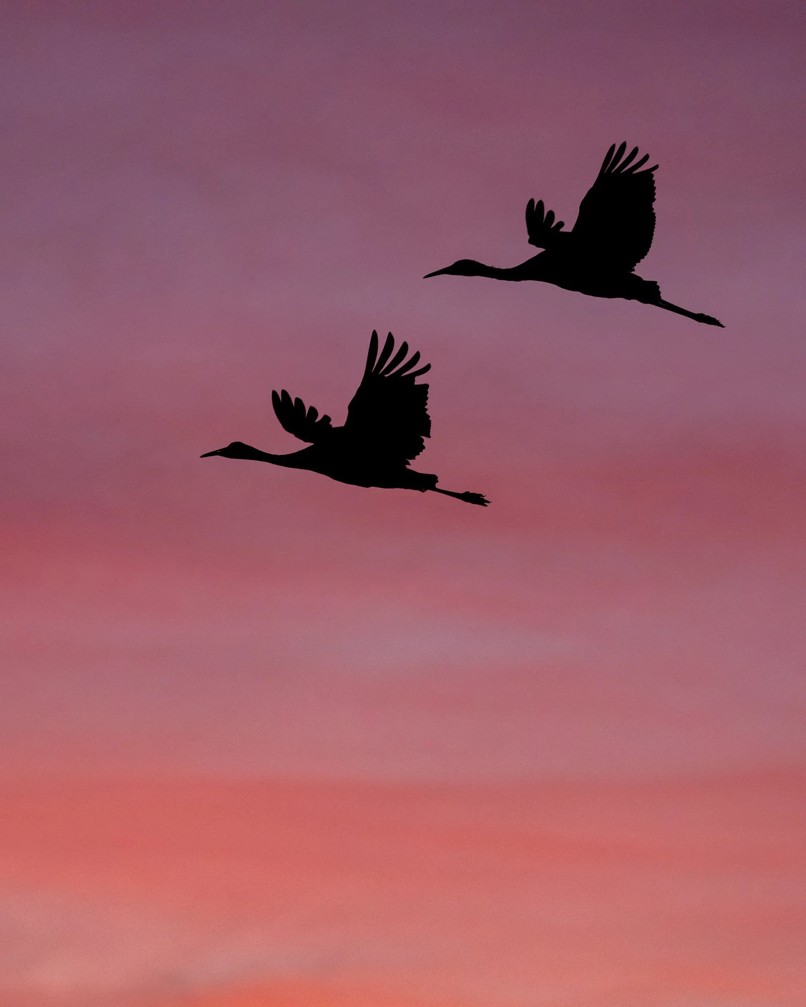 LeFevre Landscape Port-3729.jpg