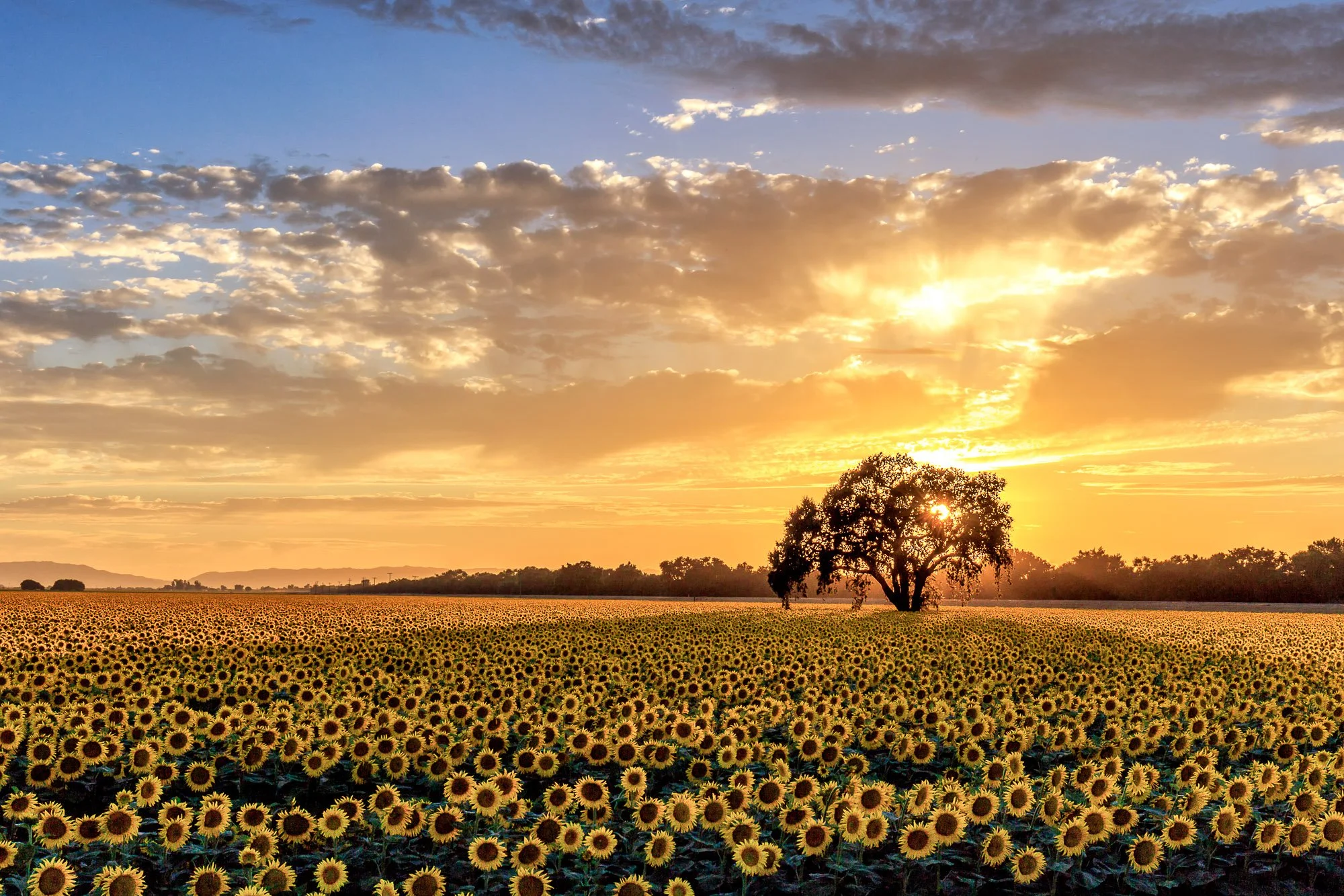 LeFevre Landscape Port-9107.jpg