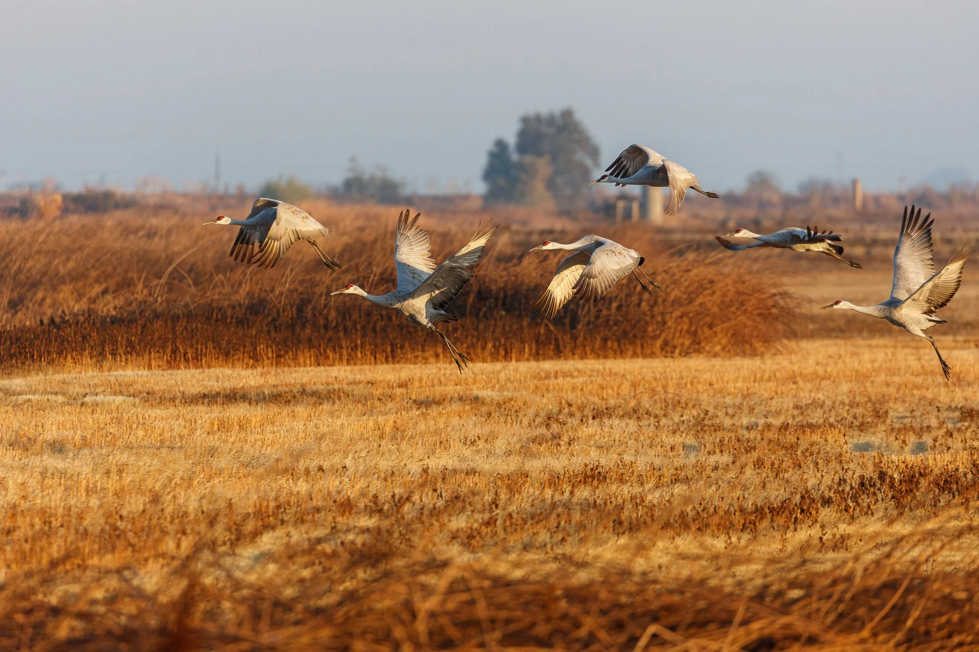 LeFevre Landscape Port-9700.jpg