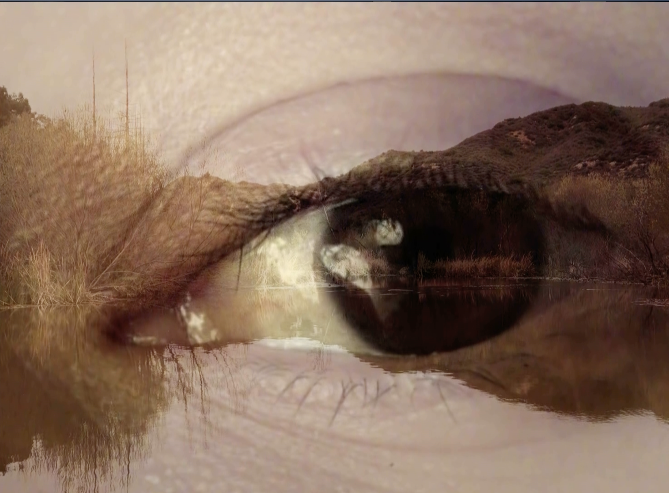 Screenshot 2024-03-14 at 9.30.08 PM.png