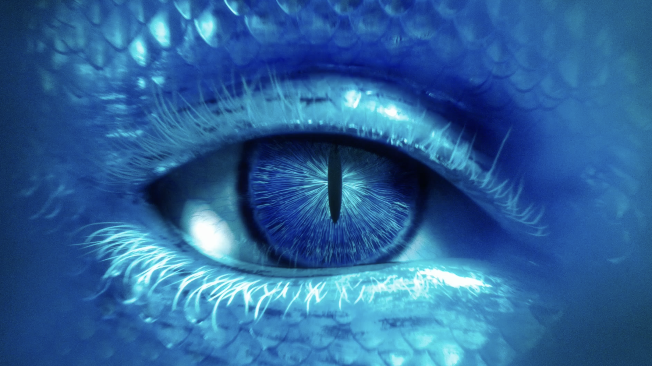 Screen Shot 2022-08-07 at 9.08.36 PM.png